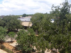 1 Bed Apartment in Hillcrest