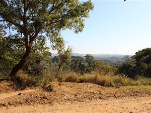 3890 m² Land available in Palm Beach