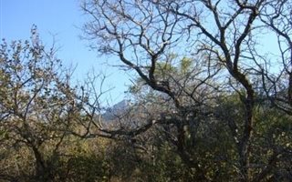 2500 m² Land available in Escarpia