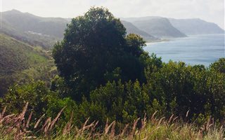 380 m² Land available in Simons Town