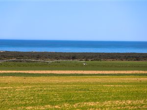 1772 ha Farm in Elands Bay