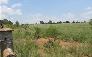 Farm in Rietfontein