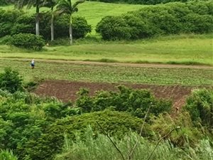 3.2 ha Land available in Verulam
