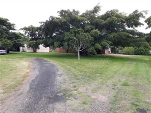 4080 m² Land available in Walmer