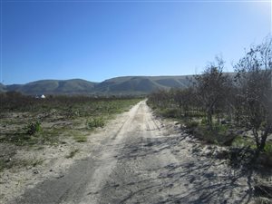 21.5 ha Farm in Franskraal