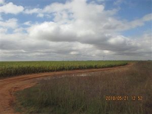 475.2 ha Farm in Bloemfontein