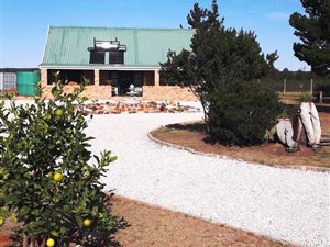 4273 m² Farm in Van Stadens