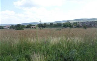 1098 m² Land available in Vaaloewer