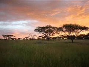 3087 m² Land available in Serengeti