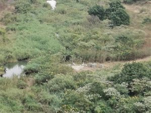 11.9 ha Land available in Tongaat Central
