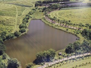 40.1 ha Farmland in Margate
