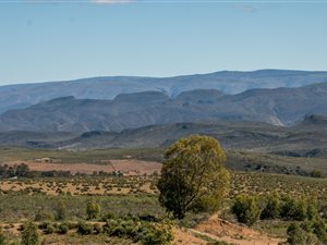 7.9 ha Farm in Montagu