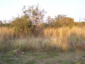 1000 m² Land available in Pebble Rock