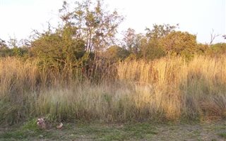 1000 m² Land available in Pebble Rock
