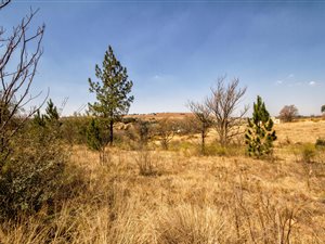 34 ha Farm in Muldersdrift