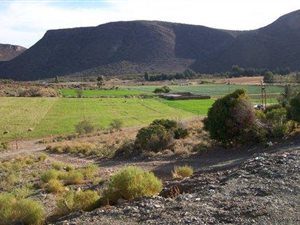 165 ha Farm in Laingsburg