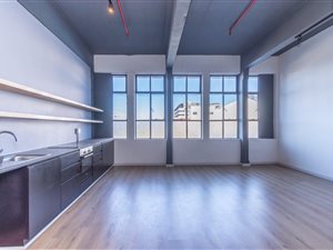 1 Bed Apartment in Salt River