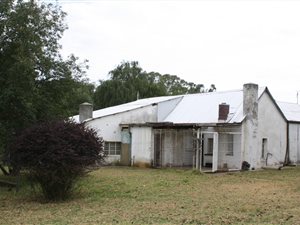 260 ha Farm in Carolina