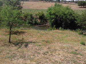1279 m² Land available in Rothdene