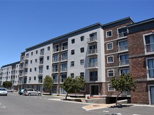 2 Bed Apartment in Brooklyn