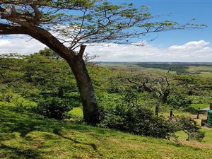 1964 m² Land available in Woodgrange