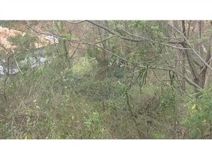 1724 m² Land available in Amanzimtoti