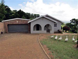 10.1 ha Farm in Cliffdale