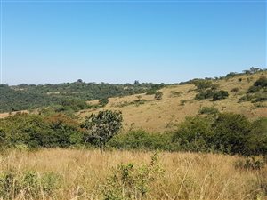 1.4 ha Land available in Wild Fig Estate