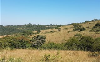 1.4 ha Land available in Wild Fig Estate