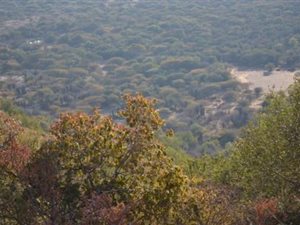 105 ha Farm in Groot Marico