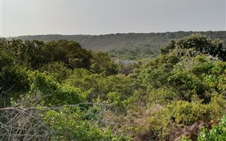 881 m² Land available in Cola Beach