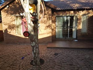 2 Bed Apartment in Theresa Park