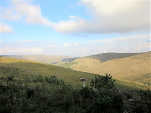 30.9 ha Farm in Grahamstown Central