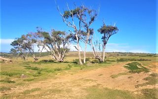 1563 m² Land available in Colleen Glen