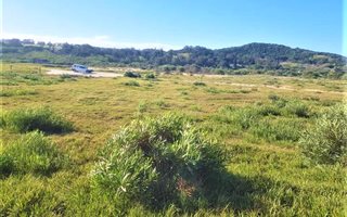 1563 m² Land available in Colleen Glen