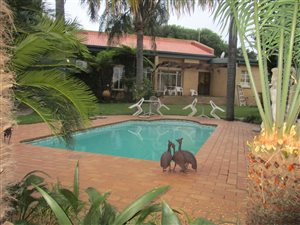 3 Bed House in Hospitaalpark