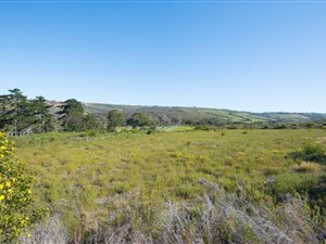 1606 m² Land available in Brackenridge