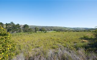 1606 m² Land available in Brackenridge