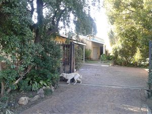 4 Bed House in Mountain View