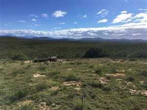 1622 ha Farm in Stilbaai