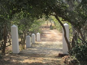 2722 ha Farm in Lephalale (Ellisras)
