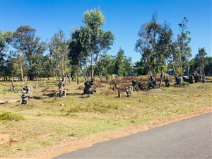 2.4 ha Land available in Greenbushes