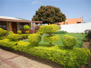 2 Bed House in Temba