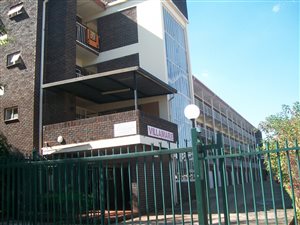 Bachelor apartment in Waverley