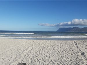 3 Bed Apartment in Capricorn
