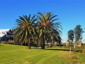 12.5 ha Farm in Swellendam