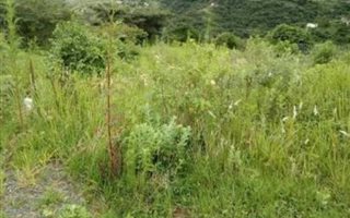 314 m² Land available in Welbedacht