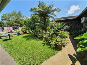 3 Bed House in Birdswood