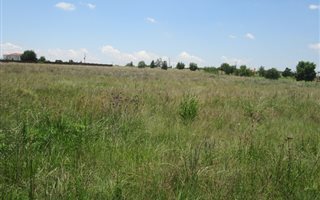 1.1 ha Land available in Grootfontein Estate