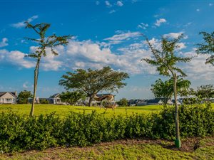 1027 m² Land available in Kingswood Golf Estate